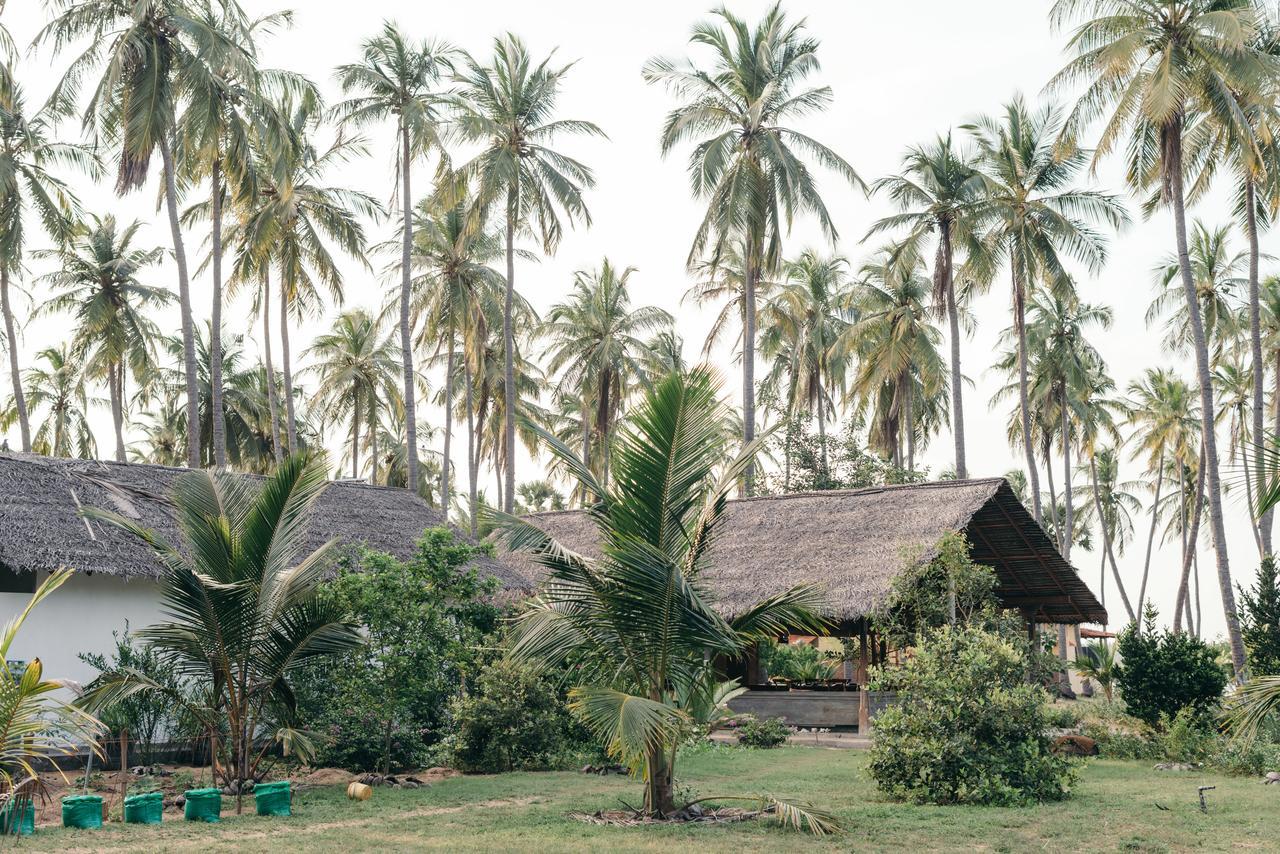 Luna Laguna Калпития Экстерьер фото